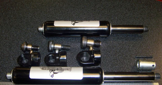 Vertical Door Shocks (Set of 2)